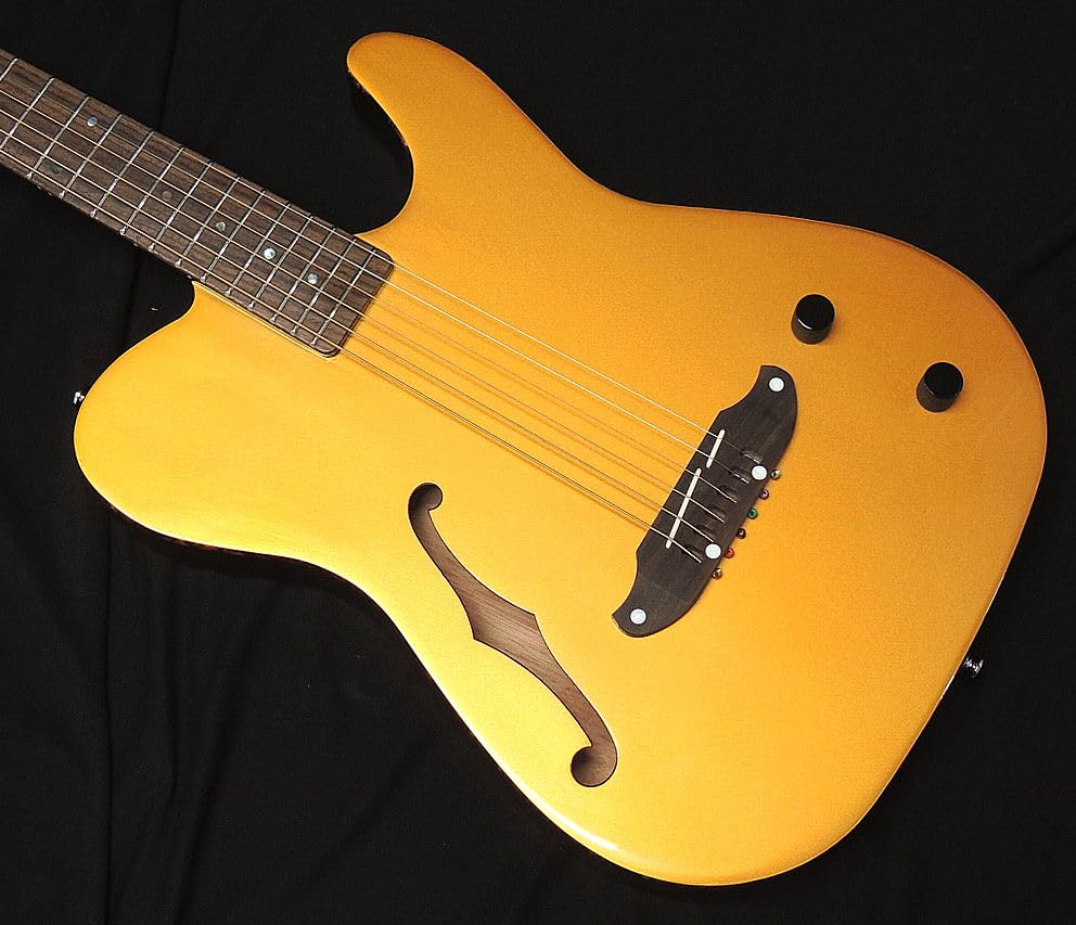 Amazon | SCHECTER OL-FL-P GO Oriental Line シェクター ゴールド
